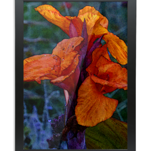 Framed A2 Fine Art Print - Portrait/Black orange delight