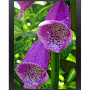 Framed A2 Fine Art Print - Portrait/Black Foxglove A2